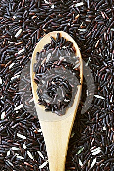 closeup of raw riceberry rice