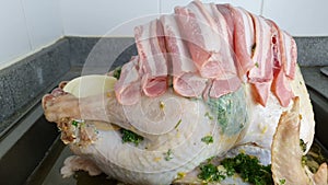 Closeup of a raw turkey being prepared for Holidays o a Celebration dinner.