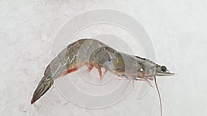 Closeup of raw Whiteleg shrimp, pacific white shrimp Litopenaeus vannamei, formerly Penaeus vannamei