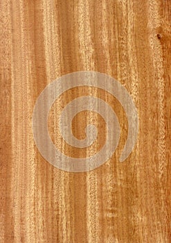 Closeup real natural wood grain of veneer background and texture, Pattern for decoration.