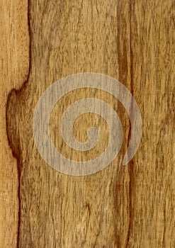 Closeup real natural wood grain of veneer background and texture, Pattern for decoration.