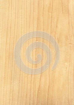 Closeup real natural wood grain of veneer background and texture, Pattern for decoration.