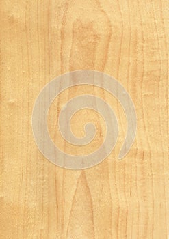 Closeup real natural wood grain of veneer background and texture, Pattern for decoration.