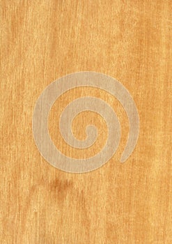 Closeup real natural wood grain of veneer background and texture, Pattern for decoration.