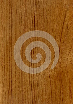 Closeup real natural wood grain of veneer background and texture, Pattern for decoration.