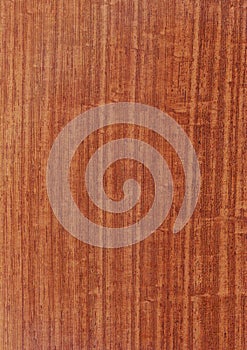 Closeup real natural wood grain of veneer background and texture, Pattern for decoration.