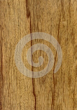 Closeup real natural wood grain of veneer background and texture, Pattern for decoration.