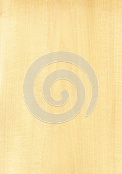 Closeup real natural wood grain of veneer background and texture, Pattern for decoration.