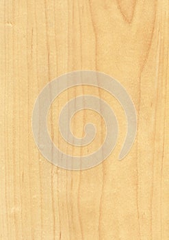 Closeup real natural wood grain of veneer background and texture, Pattern for decoration.