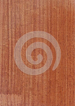 Closeup real natural wood grain of veneer background and texture, Pattern for decoration.