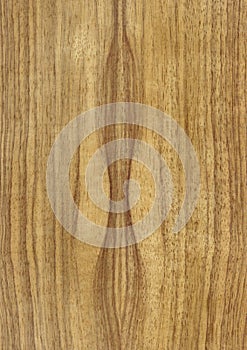 Closeup real natural wood grain of veneer background and texture, Pattern for decoration.