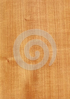 Closeup real natural wood grain of veneer background and texture, Pattern for decoration. Blank for design.