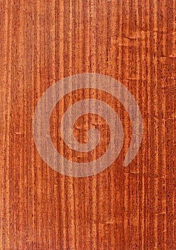 Closeup real natural wood grain of veneer background and texture, Pattern for decoration. Blank for design.