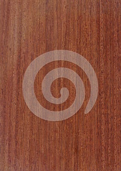 Closeup real natural wood grain of veneer background and texture, Pattern for decoration. Blank for design.
