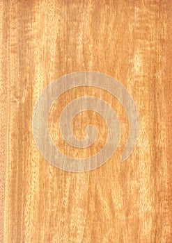 Closeup real natural wood grain of veneer background and texture, Pattern for decoration. Blank for design.