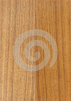 Closeup real natural wood grain of veneer background and texture, Pattern for decoration. Blank for design.