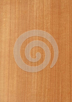 Closeup real natural wood grain of veneer background and texture, Pattern for decoration. Blank for design.