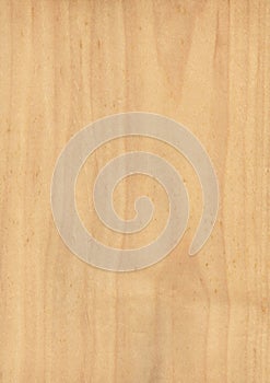 Closeup real natural wood grain of veneer background and texture, Pattern for decoration. Blank for design.