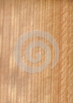 Closeup real natural wood grain of veneer background and texture, Pattern for decoration. Blank for design.