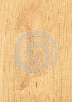 Closeup real natural wood grain of veneer background and texture, Pattern for decoration. Blank for design.