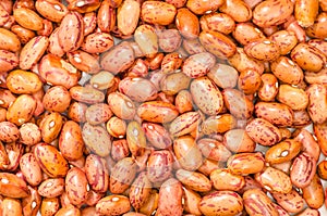 Closeup of red bean, background -