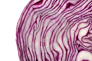 Closeup red cabbage