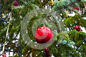 Closeup on red Christmas globe