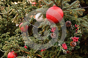 Closeup of Red New Year balls and garland on a branches of natural Christmas tree outdoors at sunny winter day