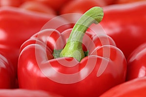 Closeup of red pepper or paprika vegetable