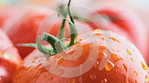 Closeup of red ripe tomato with drops of water