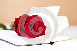 Closeup red rose on white notebook, love note, love and romance