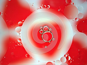 Closeup red-white bubbles oil ,abstract background for webdesign