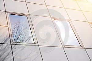 Closeup reflection and shadow of winter tree and bright blue sky on office building windows with sun and lens flare