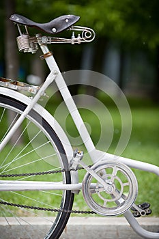 Closeup of retro bicycle on nature background. City bike. Active life and sport concept