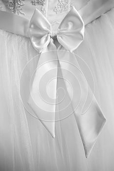 Closeup of ribbon of wedding dress detail