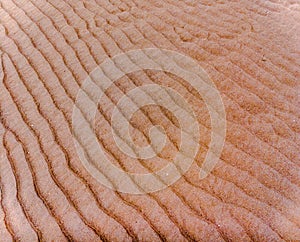 A Closeup of Rills on Beach photo