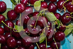 Closeup of ripe cherries with stalks. Large collection of fresh red cherries. Ripe cherries background.