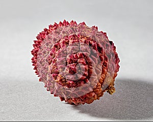 Closeup of ripe exotic lychee fruit on gray background with copy space. Focus stacking, fullsize 50 pm