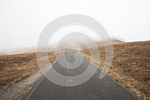 Closeup of a road to the Point Reyes National Seashore in California during a misty weather
