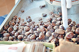 Closeup on roasted chestnut on market