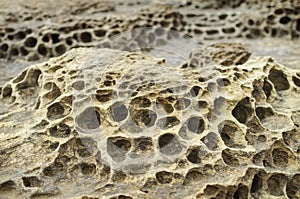 Closeup rock erosion holes sea wall.