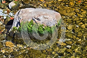 Rock in the water