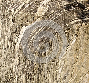 The closeup of a rock