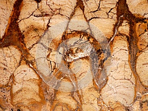 Closeup of a rock polished to show texture background trail of time grand canyon forming triangles pattern brown