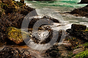 Closeup of rocks with seaweed in breaking waves in the Pacific Ocean