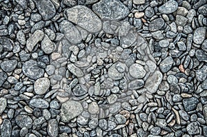 Closeup of a rocky beach in Homer, Alaska