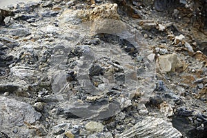 Closeup of a rocky shore