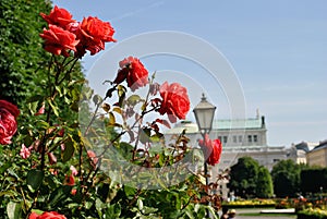 Closeup romantic roses with streetlamp