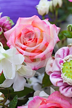 Closeup roses bouquet