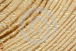 Closeup of rough sawn pine tree texture